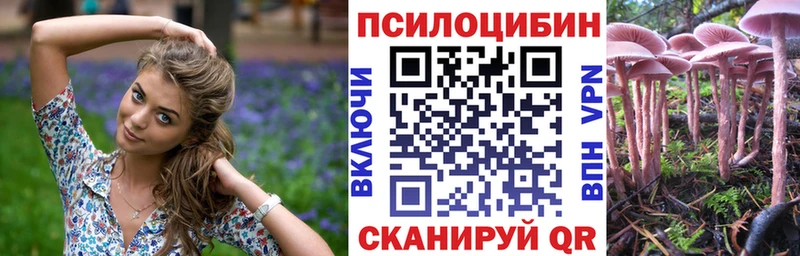 наркошоп  Ростов  Псилоцибиновые грибы MAGIC MUSHROOMS 
